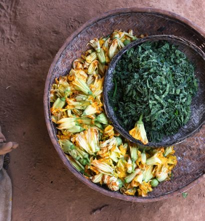 The harvest of a person affected by leprosy